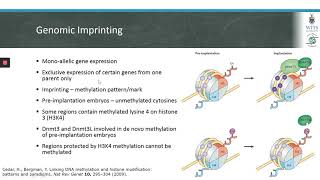 Epigenetic Regulation of Gene Expression [upl. by Kipp]