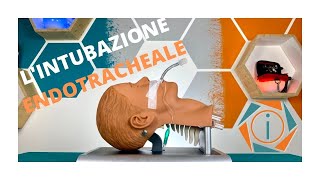 LINTUBAZIONE ENDOTRACHEALE  LE VIE AEREE  INFERMIERI online [upl. by Burchett]