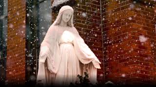 Immaculate Mary w lyrics  Catholic Hymn [upl. by Yrollam]