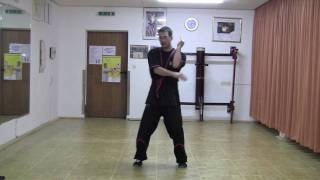 SIFU THILO HERMANN  BIU TZE [upl. by Reseta963]