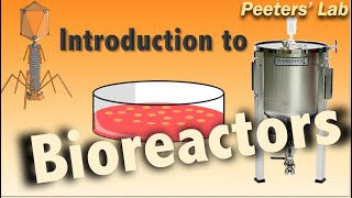 Introduction to bioreactors [upl. by Eilis]