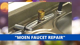 Moen Style Kitchen Faucet Repair And Rebuild [upl. by Aspa]