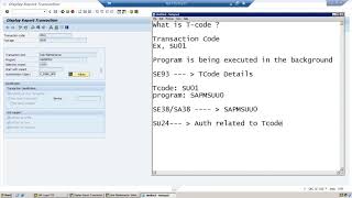 SAP Security FAQ 2 What is Tcode in SAP [upl. by Ireva]