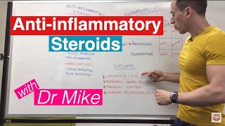 Antiinflammatory Steroids [upl. by Letnuahc773]