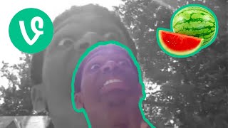 Watermelon inside a watermelon vine for one minute [upl. by Mallon254]