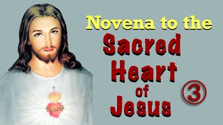 Novena to the Sacred Heart of Jesus  Day 3 [upl. by Nobile857]