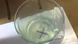 Sodium Thiosulphate Reaction With Hydrochloric Acid [upl. by Hareehahs133]