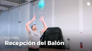 Recepción del Balón  Voleibol [upl. by Cynthie]