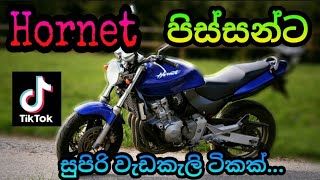 Honda Hornet Stunt amp Burnout  Tik tok  Sri Lanka [upl. by Aynotal]