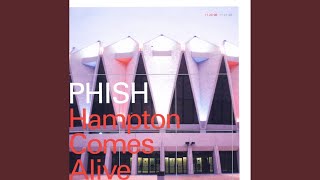 Bathtub Gin Live at Hampton 1998 [upl. by Eirellam]