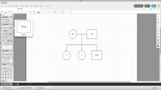 Lucidchart  how to create a simple family tree [upl. by Hamfurd]