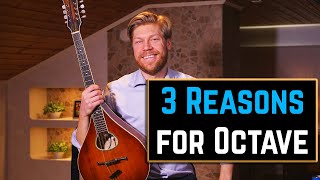 3 Reasons Why I Think You Should Play the Octave Mandolin [upl. by Hairej]