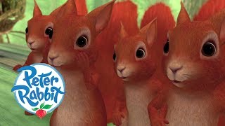 Peter Rabbit  Unlikely Allies  Cartoons for Kids [upl. by Eerdna]