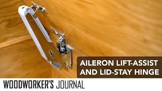 AllInOne Hinge  Lift Assist Soft Close and Lid Stay [upl. by Guenna90]