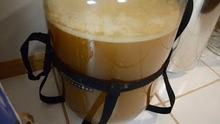 Homebrewing Basics Fermentation [upl. by Ruamaj]