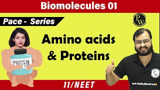 Biomolecules 01  Amino Acids and Proteins  11  NEET  PACE Series [upl. by Arramas704]