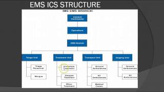 Incident Command amp Mass Casualty Incidents for EMS Providers Lecture [upl. by Sergei]