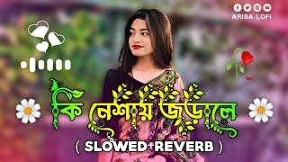 কি নেশায় জড়ালে  Ki Nesha Jhorale  SlowedReverb  Bangla Lofi Gan  Balam New Song  Arisa Lofi [upl. by Branscum]