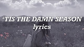 Taylor Swift  ‘Tis The Damn Season Lyrics [upl. by Arlen809]