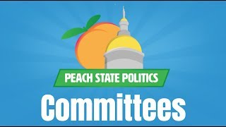 What Do Legislative Committees Do  Peach State Politics [upl. by Yartnod]