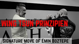 Wing Tsun Compilation  Best Of Leung Ting Linage Kernspecht Boztepe amp other Sifu Highlights [upl. by Cinemod812]