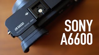 Sony A6600 Review  Best APSC Camera [upl. by Laved317]