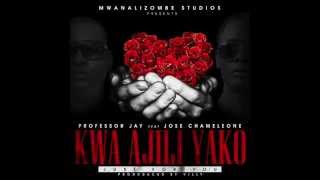 Professor Jay ft Chameleone  Kwa Ajili Yako Official Audio [upl. by Bertrando]