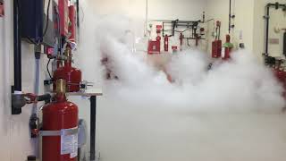 CO2 Fire Suppression System Discharge at Koorsen Training Center [upl. by Lebiram]