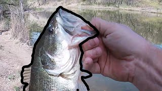 Arivaca Lake Spring Bass Fishing [upl. by O'Dell]