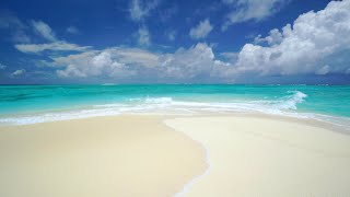 The Perfect Paradise Beach Scene in 4K White Sand Blue Water amp Waves  Two Hours [upl. by Haletta762]