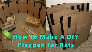 How To Make A DIY Cardboard Playpen For Rats Foldable [upl. by Yvel]