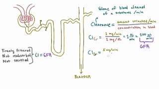 Calculating Clearance  Example Calculations [upl. by Genni]