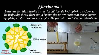 Emulsions et tensioactifs [upl. by Anrim562]