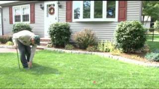 Lawn Aeration and Overseeding Lawn Care Tips [upl. by Htinek525]