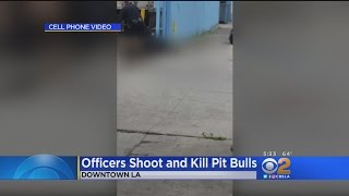 Police Fatally Shoot 2 Pit Bulls Attacking Man Small Dog [upl. by Stockton]