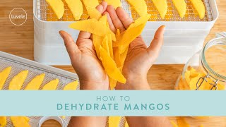 How to Dehydrate Mango  Luvele Breeze Dehydrator [upl. by Illil648]