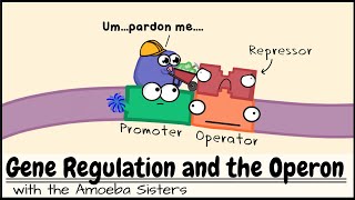 Gene Regulation and the Operon [upl. by Stephanie343]