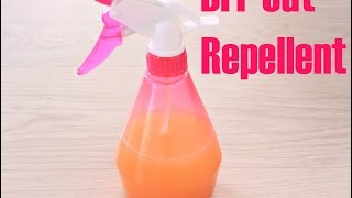 DIY CAT REPELLENT [upl. by Noryk]