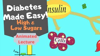 HYPER amp HYPOGLYCAEMIA Diabetes simply explained [upl. by Garcon]