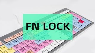 How to activate FN Lock  Logickeyboard [upl. by Kessiah626]