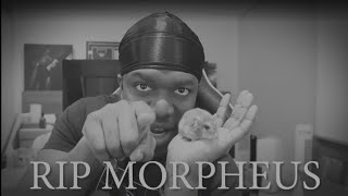 RIP Morpheus [upl. by Georgeta817]