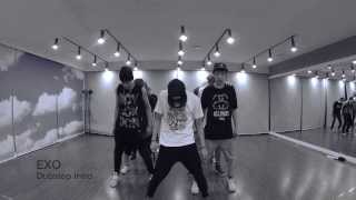 EXO Intro Dubstep [upl. by Lulita462]