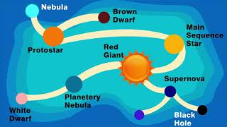 Life Cycle of a Star in Hindi  Info ReX [upl. by Jo-Ann940]