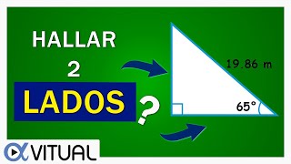 Razones Trigonométricas 📐 HALLAR 2 LADOS 👉 Catetos [upl. by Fawnia]