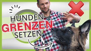 So versteht dein Hund dich wirklich Hunden GRENZEN setzen [upl. by Devitt]