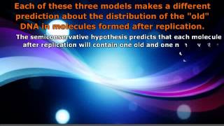 AP Biology  MeselsonStahl experiment for DNA Replication [upl. by Reffinnej]