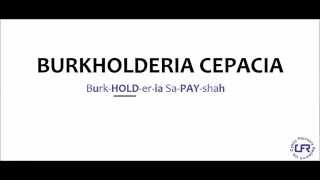 How to Pronounce Burkholderia Cepacia UK [upl. by Aryhs]