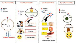 Hypersensitivity types in 4 minutes [upl. by Elletse]