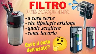 Il filtro dellacquario  trucchi e suggerimenti [upl. by Merwyn]