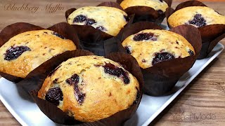 Blueberry Oatmeal Muffins Sallys Baking Recipes [upl. by Kaslik986]